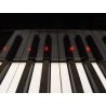 Vienna Symphonic Library Studio Bösendorfer Imperial Instrument wirtualny VST - 5 - Instrumenty wirtualne - Vienna Symphonic Lib