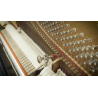 Vienna Symphonic Library Studio Bösendorfer Upright (Standard Library) Instrument wirtualny VST - 5 - Instrumenty wirtualne - Vi
