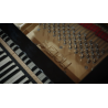 Vienna Symphonic Library Studio Fazioli F212 (Standard Library) Instrument wirtualny VST - 4 - Instrumenty wirtualne - Vienna Sy