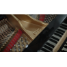 Vienna Symphonic Library Studio Fazioli F212 (Standard Library) Instrument wirtualny VST - 6 - Instrumenty wirtualne - Vienna Sy