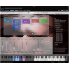 Vienna Symphonic Library Special Edition Vol. 5 Dimension Strings Instrument wirtualny VST - 2 - Instrumenty wirtualne - 