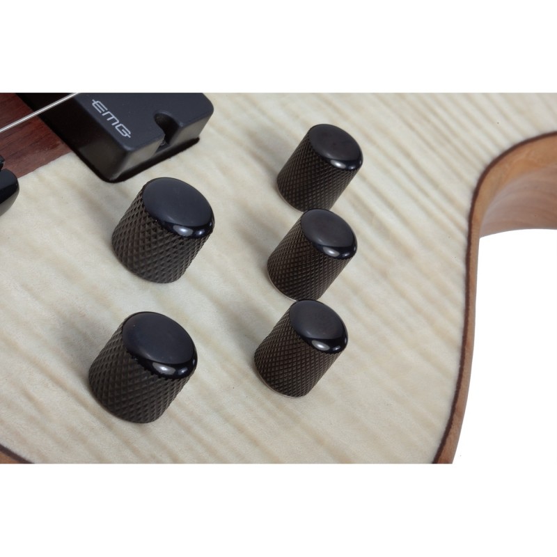 Schecter Charles Berthoud CB-6 Natural Satin - Gitara basowa