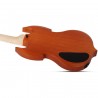 Schecter Wylde Audio Barbarian Carveworks - Gitara elektryczna