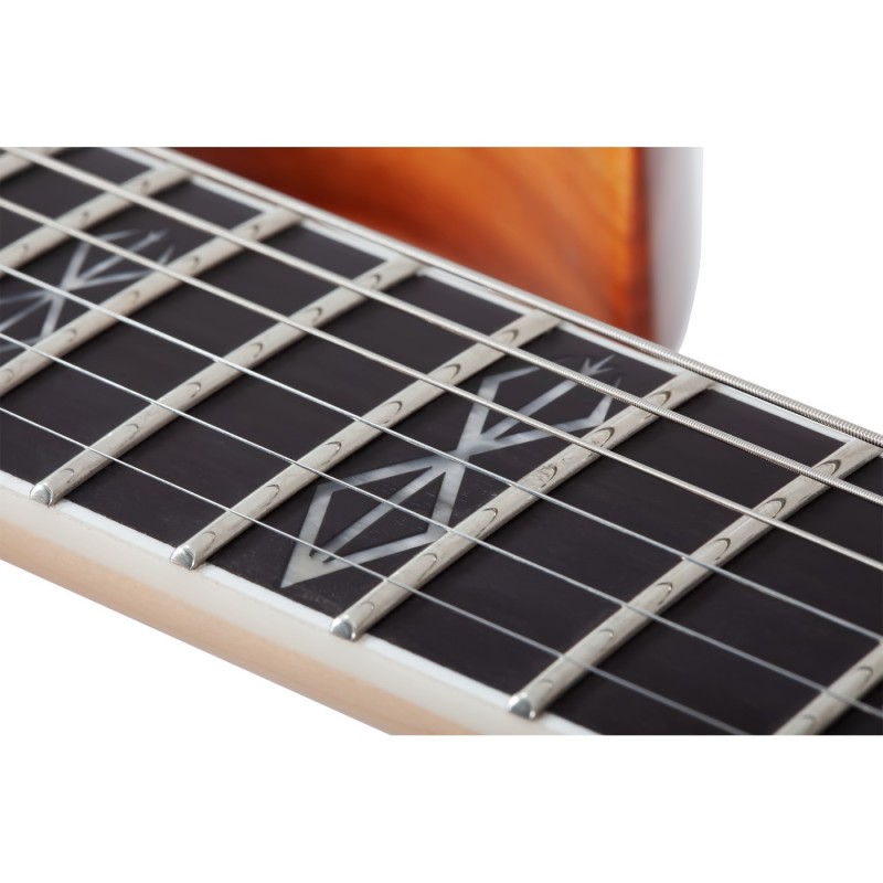 Schecter Wylde Audio Berzerker Corridors - Gitara elektryczna