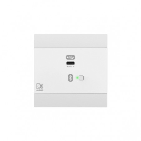 Audac NWP400/W - Panel ścienny USB C + BT (wersja biała)