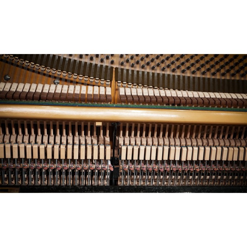 Vienna Symphonic Library Studio German Upright 1904 (Standard Library) Instrument wirtualny VST - 4 - Instrumenty wirtualne - Vi Vienna Symphonic Library Studio German Upright 1904 (Standard Library) Instrument wirtualny VST - 4 - Instrumenty wirtualne - Vi