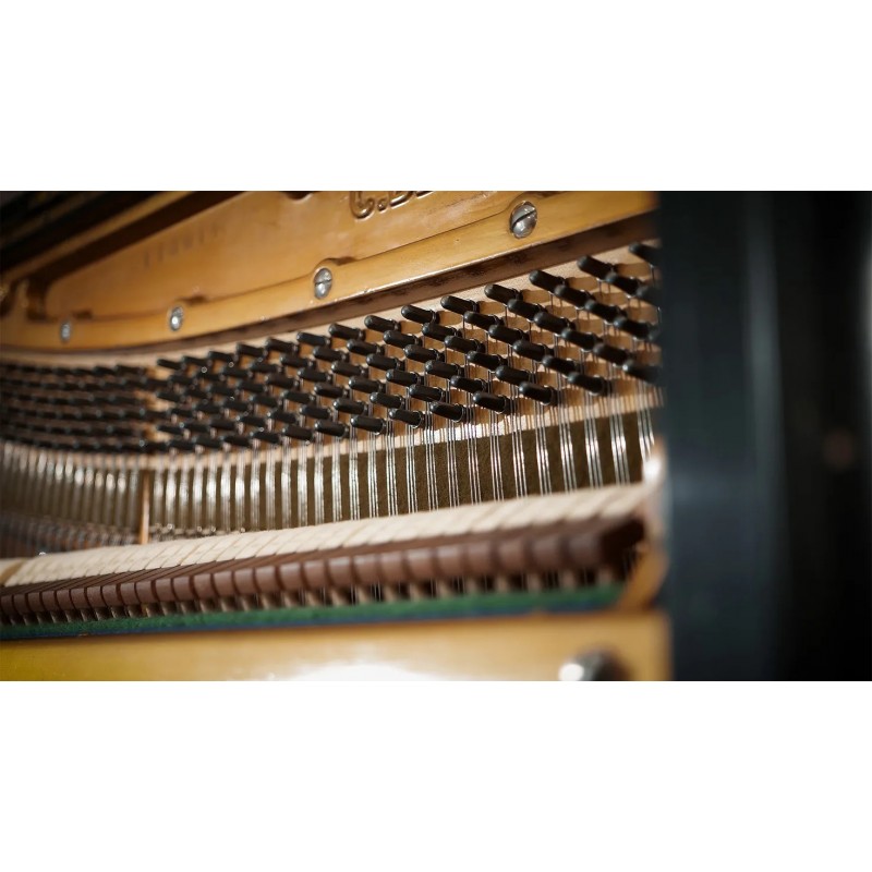 Vienna Symphonic Library Studio German Upright 1904 (Standard Library) Instrument wirtualny VST - 5 - Instrumenty wirtualne - Vi Vienna Symphonic Library Studio German Upright 1904 (Standard Library) Instrument wirtualny VST - 5 - Instrumenty wirtualne - Vi