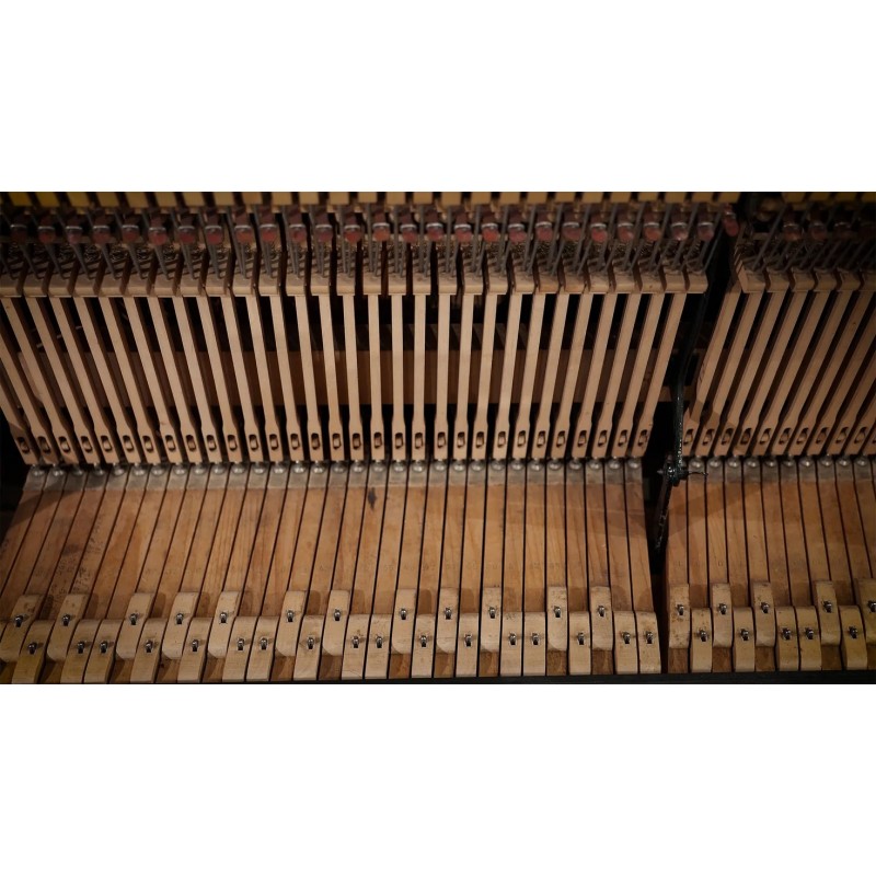 Vienna Symphonic Library Studio German Upright 1904 (Standard Library) Instrument wirtualny VST - 8 - Instrumenty wirtualne - Vi Vienna Symphonic Library Studio German Upright 1904 (Standard Library) Instrument wirtualny VST - 8 - Instrumenty wirtualne - Vi