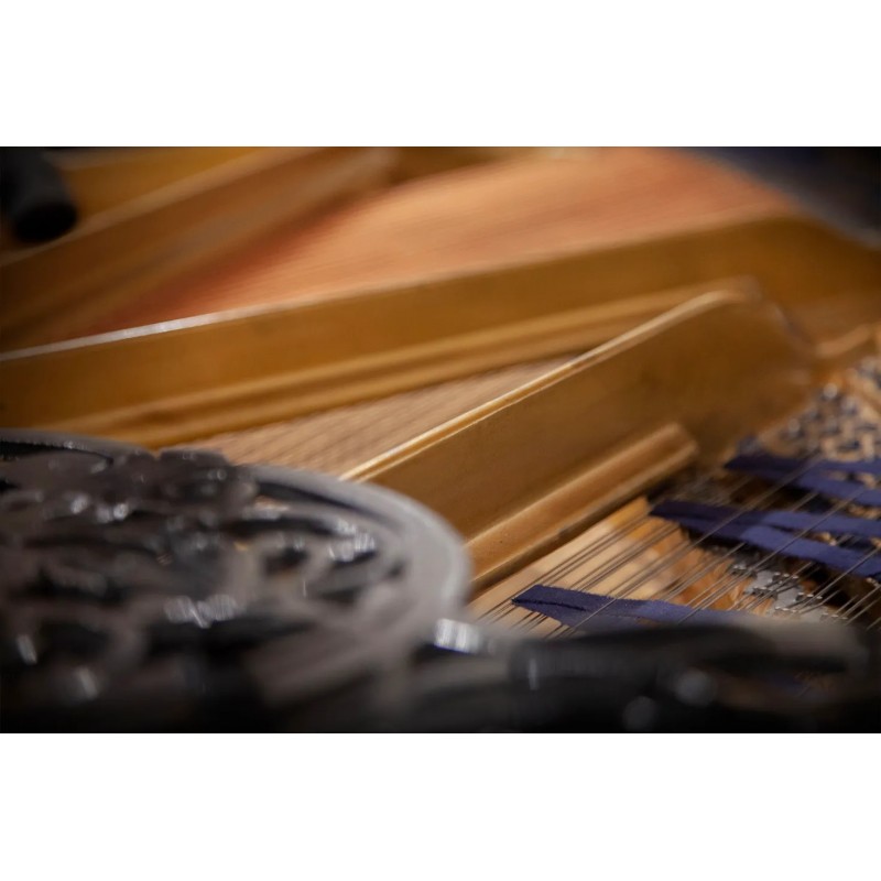 Vienna Symphonic Library Studio Blüthner 1895 (Standard Library) Instrument wirtualny VST - 3 - Instrumenty wirtualne - Vienna S Vienna Symphonic Library Studio Blüthner 1895 (Standard Library) Instrument wirtualny VST - 3 - Instrumenty wirtualne - Vienna S