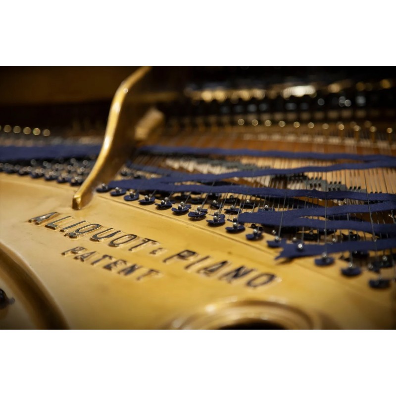Vienna Symphonic Library Studio Blüthner 1895 (Standard Library) Instrument wirtualny VST - 4 - Instrumenty wirtualne - Vienna S Vienna Symphonic Library Studio Blüthner 1895 (Standard Library) Instrument wirtualny VST - 4 - Instrumenty wirtualne - Vienna S