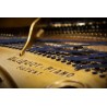 Vienna Symphonic Library Studio Blüthner 1895 (Standard Library) Instrument wirtualny VST - 4 - Instrumenty wirtualne - Vienna S Vienna Symphonic Library Studio Blüthner 1895 (Standard Library) Instrument wirtualny VST - 4 - Instrumenty wirtualne - Vienna S