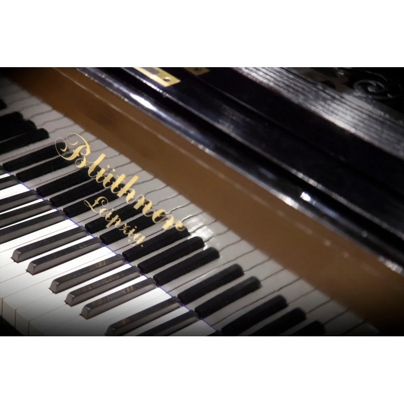 Vienna Symphonic Library Studio Blüthner 1895 (Standard Library) Instrument wirtualny VST - 6 - Instrumenty wirtualne - Vienna S Vienna Symphonic Library Studio Blüthner 1895 (Standard Library) Instrument wirtualny VST - 6 - Instrumenty wirtualne - Vienna S
