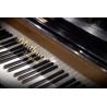 Vienna Symphonic Library Studio Blüthner 1895 (Standard Library) Instrument wirtualny VST - 6 - Instrumenty wirtualne - Vienna S Vienna Symphonic Library Studio Blüthner 1895 (Standard Library) Instrument wirtualny VST - 6 - Instrumenty wirtualne - Vienna S