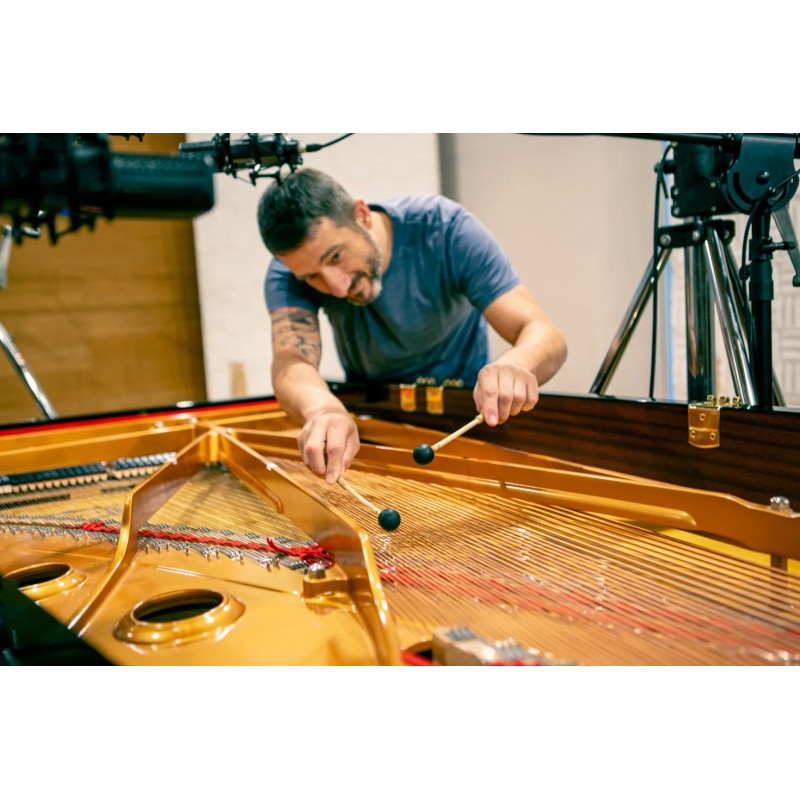 Vienna Symphonic Library Studio FX Piano (Standard Library) Instrument wirtualny VST - 3 - Instrumenty wirtualne - Vienna Sympho Vienna Symphonic Library Studio FX Piano (Standard Library) Instrument wirtualny VST - 3 - Instrumenty wirtualne - Vienna Sympho