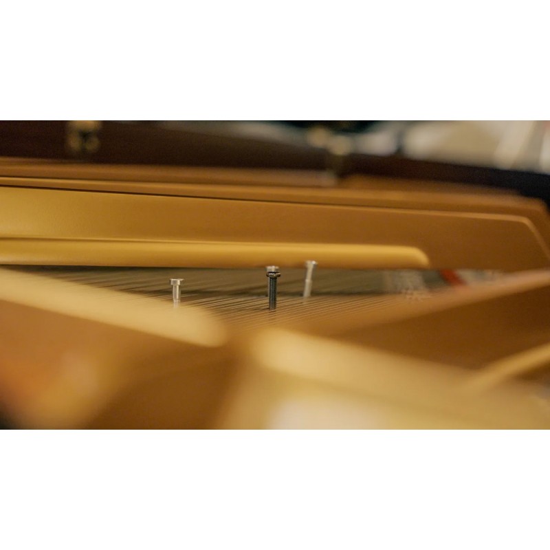 Vienna Symphonic Library Studio FX Piano (Standard Library) Instrument wirtualny VST - 5 - Instrumenty wirtualne - Vienna Sympho Vienna Symphonic Library Studio FX Piano (Standard Library) Instrument wirtualny VST - 5 - Instrumenty wirtualne - Vienna Sympho