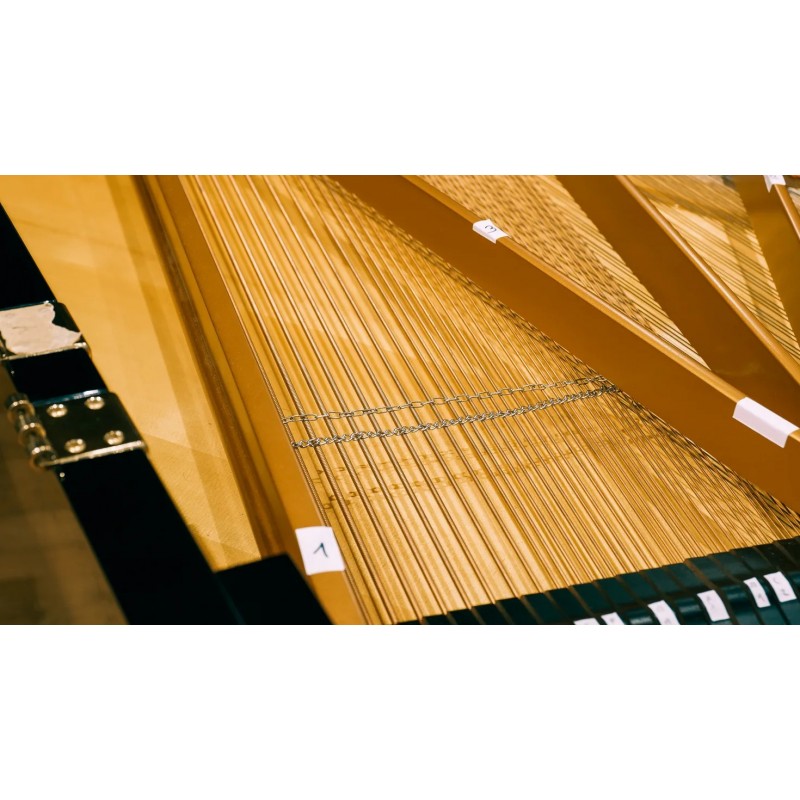 Vienna Symphonic Library Studio FX Piano (Standard Library) Instrument wirtualny VST - 6 - Instrumenty wirtualne - Vienna Sympho Vienna Symphonic Library Studio FX Piano (Standard Library) Instrument wirtualny VST - 6 - Instrumenty wirtualne - Vienna Sympho