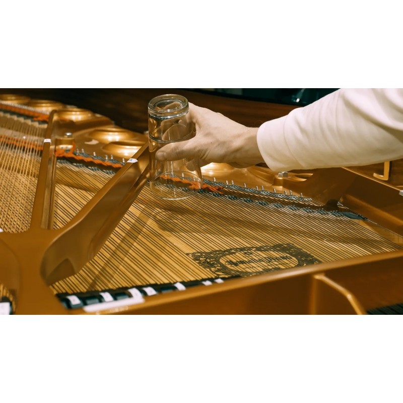 Vienna Symphonic Library Studio FX Piano (Standard Library) Instrument wirtualny VST - 7 - Instrumenty wirtualne - Vienna Sympho Vienna Symphonic Library Studio FX Piano (Standard Library) Instrument wirtualny VST - 7 - Instrumenty wirtualne - Vienna Sympho