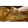 Vienna Symphonic Library Studio FX Piano (Standard Library) Instrument wirtualny VST - 7 - Instrumenty wirtualne - Vienna Sympho Vienna Symphonic Library Studio FX Piano (Standard Library) Instrument wirtualny VST - 7 - Instrumenty wirtualne - Vienna Sympho