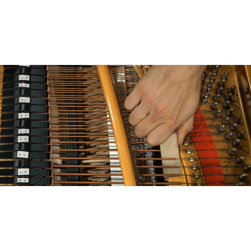 Vienna Symphonic Library Studio FX Piano (Standard Library) Instrument wirtualny VST - 8 - Instrumenty wirtualne - Vienna Sympho Vienna Symphonic Library Studio FX Piano (Standard Library) Instrument wirtualny VST - 8 - Instrumenty wirtualne - Vienna Sympho