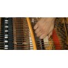 Vienna Symphonic Library Studio FX Piano (Standard Library) Instrument wirtualny VST - 8 - Instrumenty wirtualne - Vienna Sympho Vienna Symphonic Library Studio FX Piano (Standard Library) Instrument wirtualny VST - 8 - Instrumenty wirtualne - Vienna Sympho