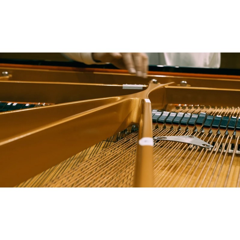 Vienna Symphonic Library Studio FX Piano (Standard Library) Instrument wirtualny VST - 9 - Instrumenty wirtualne - Vienna Sympho Vienna Symphonic Library Studio FX Piano (Standard Library) Instrument wirtualny VST - 9 - Instrumenty wirtualne - Vienna Sympho