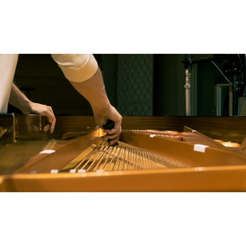 Vienna Symphonic Library Studio FX Piano (Standard Library) Instrument wirtualny VST - 10 - Instrumenty wirtualne - Vienna Symph Vienna Symphonic Library Studio FX Piano (Standard Library) Instrument wirtualny VST - 10 - Instrumenty wirtualne - Vienna Symph