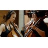 Vienna Symphonic Library Duality Strings Essentials Instrument wirtualny VST - 7 - Instrumenty wirtualne - Vienna Symphonic Libr Vienna Symphonic Library Duality Strings Essentials Instrument wirtualny VST - 7 - Instrumenty wirtualne - Vienna Symphonic Libr