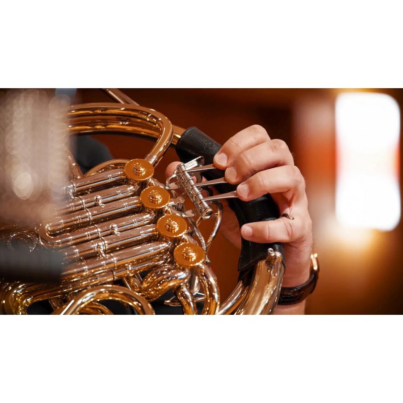 Vienna Symphonic Library Synchron Smart Orchestra 2.0 Instrument wirtualny VST - 9 - Instrumenty wirtualne - Vienna Symphonic Li Vienna Symphonic Library Synchron Smart Orchestra 2.0 Instrument wirtualny VST - 9 - Instrumenty wirtualne - Vienna Symphonic Li