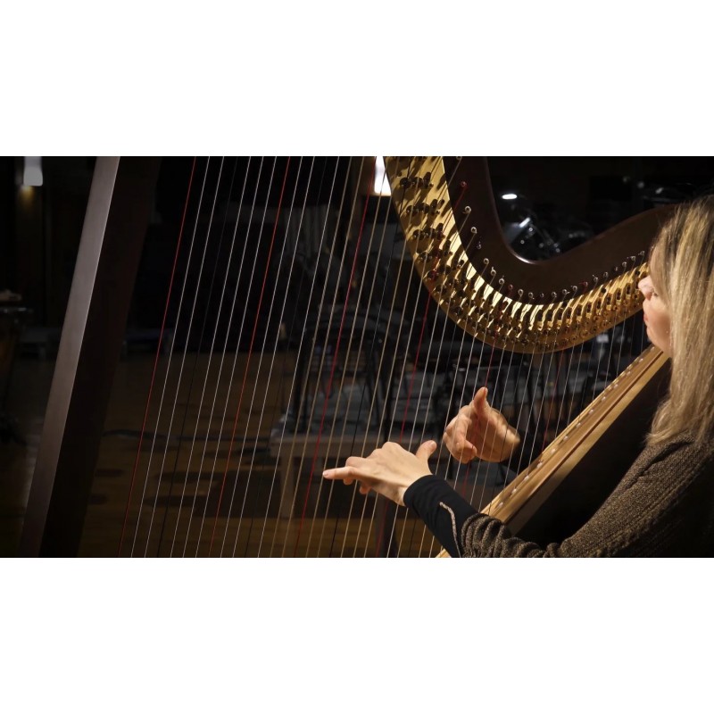 Vienna Symphonic Library Synchron Smart Orchestra 2.0 Instrument wirtualny VST - 13 - Instrumenty wirtualne - Vienna Symphonic L Vienna Symphonic Library Synchron Smart Orchestra 2.0 Instrument wirtualny VST - 13 - Instrumenty wirtualne - Vienna Symphonic L