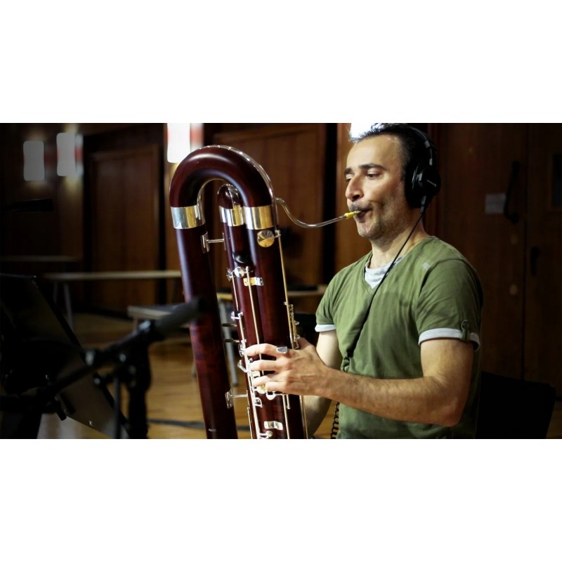 Vienna Symphonic Library Synchron Woodwinds (Standard Library) Instrument wirtualny VST - 5 - Instrumenty wirtualne - Vienna Sym Vienna Symphonic Library Synchron Woodwinds (Standard Library) Instrument wirtualny VST - 5 - Instrumenty wirtualne - Vienna Sym