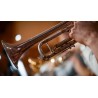 Vienna Symphonic Library Synchron Brass (Standard Library) Instrument wirtualny VST - 4 - Instrumenty wirtualne - Vienna Symphon Vienna Symphonic Library Synchron Brass (Standard Library) Instrument wirtualny VST - 4 - Instrumenty wirtualne - Vienna Symphon