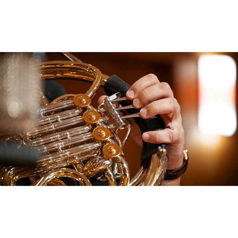 Vienna Symphonic Library Synchron Brass (Standard Library) Instrument wirtualny VST - 5 - Instrumenty wirtualne - Vienna Symphon Vienna Symphonic Library Synchron Brass (Standard Library) Instrument wirtualny VST - 5 - Instrumenty wirtualne - Vienna Symphon