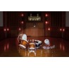 Vienna Symphonic Library Synchron Percussion II (Standard Library) Instrument wirtualny VST - 5 - Instrumenty wirtualne - Vienna