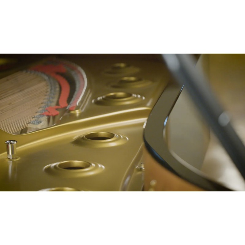 Vienna Symphonic Library Synchron Concert D-274 (Standard Library) Instrument wirtualny VST - 2 - Instrumenty wirtualne - Vienna Vienna Symphonic Library Synchron Concert D-274 (Standard Library) Instrument wirtualny VST - 2 - Instrumenty wirtualne - Vienna