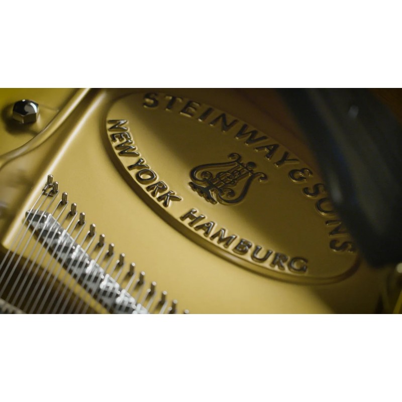 Vienna Symphonic Library Synchron Concert D-274 (Standard Library) Instrument wirtualny VST - 5 - Instrumenty wirtualne - Vienna Vienna Symphonic Library Synchron Concert D-274 (Standard Library) Instrument wirtualny VST - 5 - Instrumenty wirtualne - Vienna