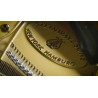 Vienna Symphonic Library Synchron Concert D-274 (Standard Library) Instrument wirtualny VST - 5 - Instrumenty wirtualne - Vienna Vienna Symphonic Library Synchron Concert D-274 (Standard Library) Instrument wirtualny VST - 5 - Instrumenty wirtualne - Vienna