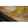 Vienna Symphonic Library Synchron Concert D-274 (Standard Library) Instrument wirtualny VST - 6 - Instrumenty wirtualne - Vienna Vienna Symphonic Library Synchron Concert D-274 (Standard Library) Instrument wirtualny VST - 6 - Instrumenty wirtualne - Vienna