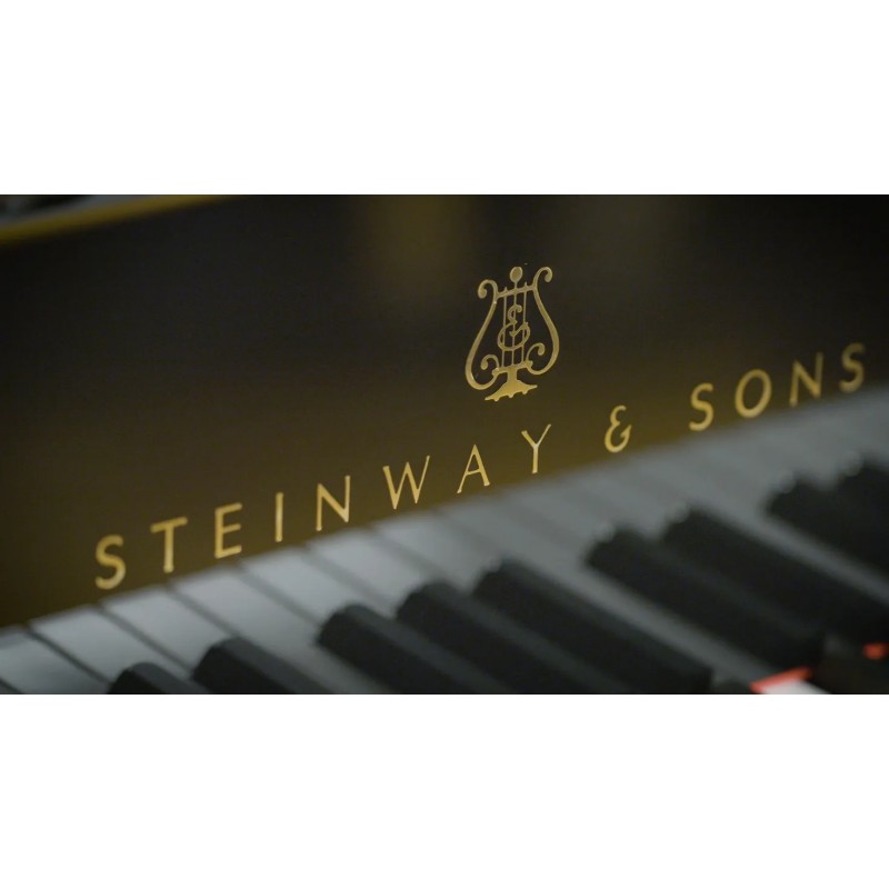 Vienna Symphonic Library Synchron Concert D-274 (Standard Library) Instrument wirtualny VST - 7 - Instrumenty wirtualne - Vienna Vienna Symphonic Library Synchron Concert D-274 (Standard Library) Instrument wirtualny VST - 7 - Instrumenty wirtualne - Vienna
