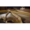 Vienna Symphonic Library Synchron Yamaha CFX (Standard Library) Instrument wirtualny VST - 5 - Instrumenty wirtualne - Vienna Sy Vienna Symphonic Library Synchron Yamaha CFX (Standard Library) Instrument wirtualny VST - 5 - Instrumenty wirtualne - Vienna Sy