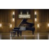 Vienna Symphonic Library Synchron Yamaha CFX (Standard Library) Instrument wirtualny VST - 7 - Instrumenty wirtualne - Vienna Sy Vienna Symphonic Library Synchron Yamaha CFX (Standard Library) Instrument wirtualny VST - 7 - Instrumenty wirtualne - Vienna Sy