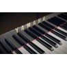Vienna Symphonic Library Synchron Yamaha CFX (Standard Library) Instrument wirtualny VST - 8 - Instrumenty wirtualne - Vienna Sy Vienna Symphonic Library Synchron Yamaha CFX (Standard Library) Instrument wirtualny VST - 8 - Instrumenty wirtualne - Vienna Sy