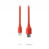 Rode SC21 Red - Kabel USB-C - Lightning 0.3m Rode SC21 Red - Kabel USB-C - Lightning 0.3m