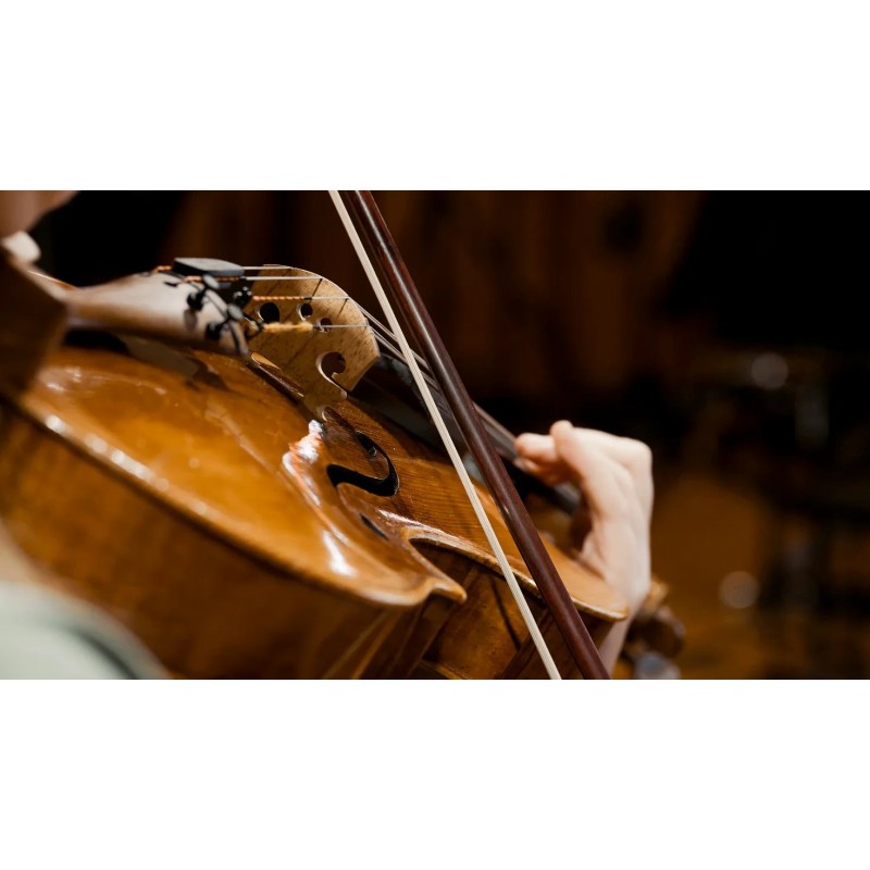Vienna Symphonic Library Synchron Solo Viola (Standard Library) Instrument wirtualny VST - 7 - Instrumenty wirtualne - Vienna Sy Vienna Symphonic Library Synchron Solo Viola (Standard Library) Instrument wirtualny VST - 7 - Instrumenty wirtualne - Vienna Sy