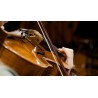 Vienna Symphonic Library Synchron Solo Viola (Standard Library) Instrument wirtualny VST - 7 - Instrumenty wirtualne - Vienna Sy Vienna Symphonic Library Synchron Solo Viola (Standard Library) Instrument wirtualny VST - 7 - Instrumenty wirtualne - Vienna Sy