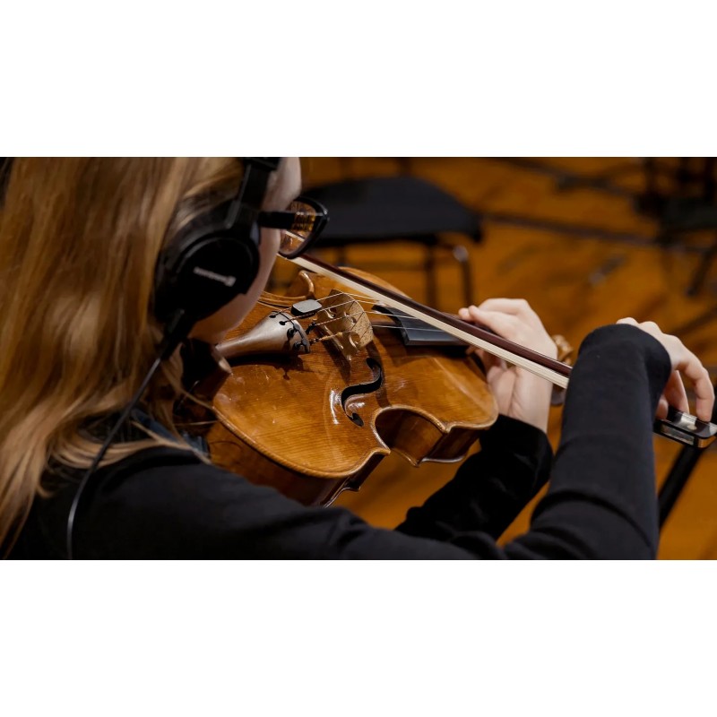 Vienna Symphonic Library Synchron Solo Viola (Standard Library) Instrument wirtualny VST - 8 - Instrumenty wirtualne - Vienna Sy Vienna Symphonic Library Synchron Solo Viola (Standard Library) Instrument wirtualny VST - 8 - Instrumenty wirtualne - Vienna Sy
