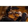Vienna Symphonic Library Synchron Solo Viola (Standard Library) Instrument wirtualny VST - 8 - Instrumenty wirtualne - Vienna Sy Vienna Symphonic Library Synchron Solo Viola (Standard Library) Instrument wirtualny VST - 8 - Instrumenty wirtualne - Vienna Sy