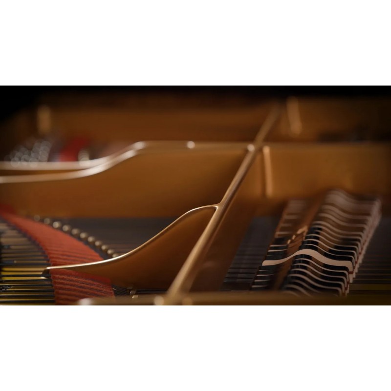 Vienna Symphonic Library Fazioli F308 Essentials Instrument wirtualny VST - 4 - Instrumenty wirtualne - Vienna Symphonic Library Vienna Symphonic Library Fazioli F308 Essentials Instrument wirtualny VST - 4 - Instrumenty wirtualne - Vienna Symphonic Library