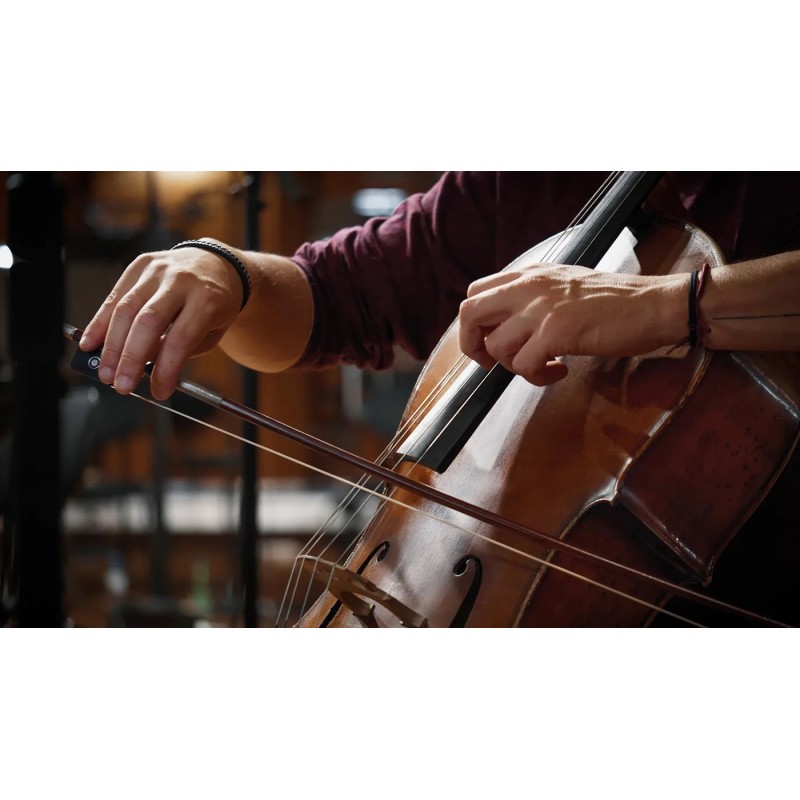 Vienna Symphonic Library Synchron Solo Cello (Standard Library) Instrument wirtualny VST - 5 - Instrumenty wirtualne - Vienna Sy Vienna Symphonic Library Synchron Solo Cello (Standard Library) Instrument wirtualny VST - 5 - Instrumenty wirtualne - Vienna Sy