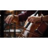 Vienna Symphonic Library Synchron Solo Cello (Standard Library) Instrument wirtualny VST - 5 - Instrumenty wirtualne - Vienna Sy Vienna Symphonic Library Synchron Solo Cello (Standard Library) Instrument wirtualny VST - 5 - Instrumenty wirtualne - Vienna Sy