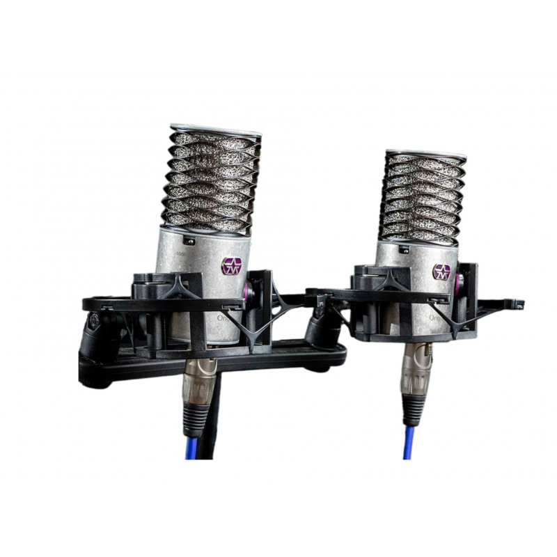 Aston Microphones Origin Stereo Pair Para mikrofonów pojemnościowych - 1 - Mikrofony studyjne - Aston Microphones Origin Stereo Aston Microphones Origin Stereo Pair Para mikrofonów pojemnościowych - 1 - Mikrofony studyjne - Aston Microphones Origin Stereo